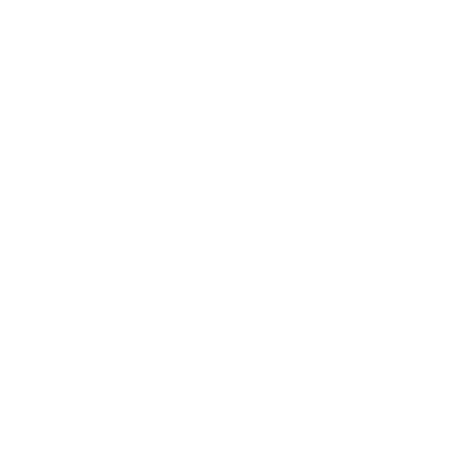 EMV Chip And Pin